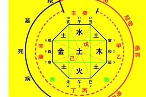 喜五行|免費查八字喜用神，免費測喜用神，免費查五行喜用神，喜用神怎。